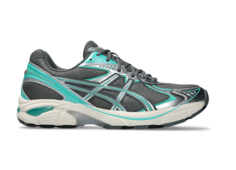 Asics GT 2160 (1203A604.021) bunt
