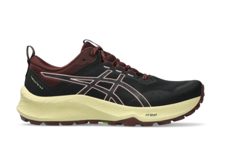 Asics Trabuco Terra 3 (1012B925.001) bunt