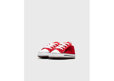 chuck taylor all star cribster