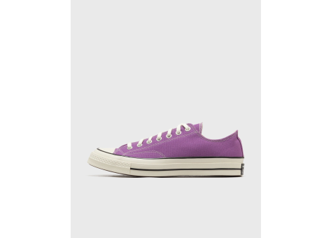 Converse OX (A13336C) lila