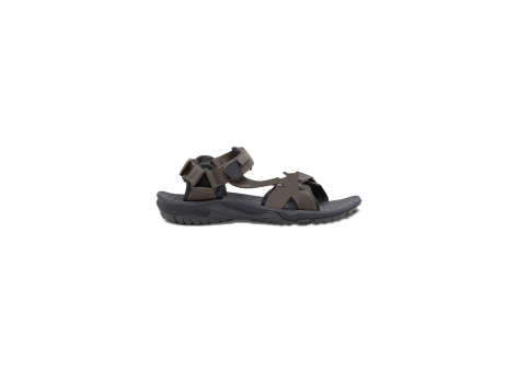 Jack Wolfskin Lakewood Ride Sandal M (4019021_5719) braun