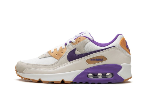 Nike Air Max 90 Action Grape Citron (DM0029-102) bunt