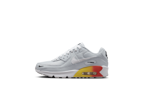 Nike Air Max 90 (HF5181-001) grau