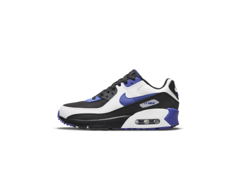 Nike Air Max 90 Ltr Persian Violet GS (CD6864-014) bunt