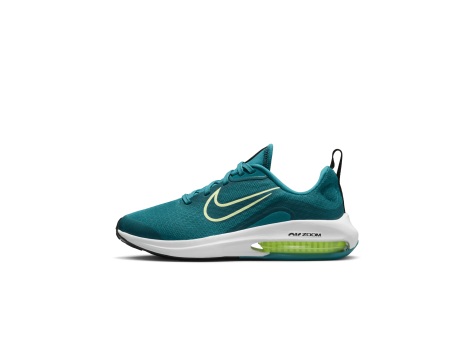 Nike Air Zoom Arcadia 2 Big Road Running Shoes (DM8491-300) blau