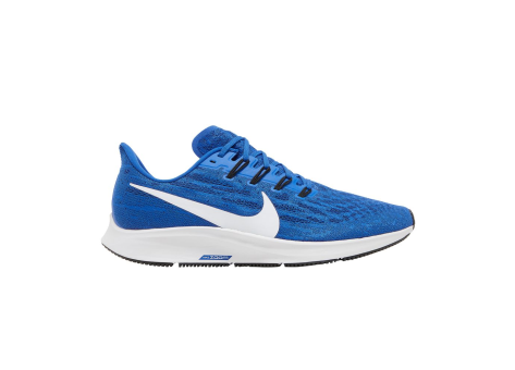 Nike Air Zoom Pegasus 36 TB Game Royal (BV1773 403) blau