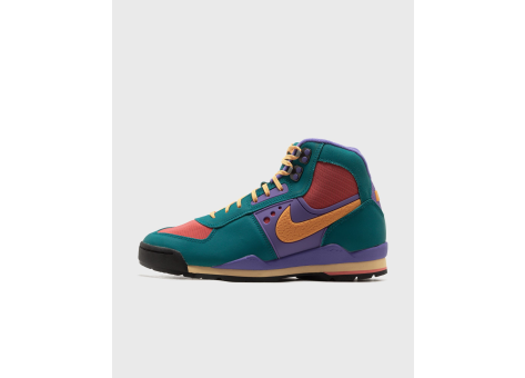 Nike Baltoro Bright Spruce Kumquat (IH4450-300) bunt