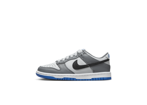 Nike Dunk Low GS (FB9109-001) grau