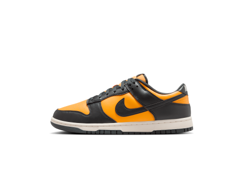 Nike Dunk Low Retro (HF5441-700) bunt