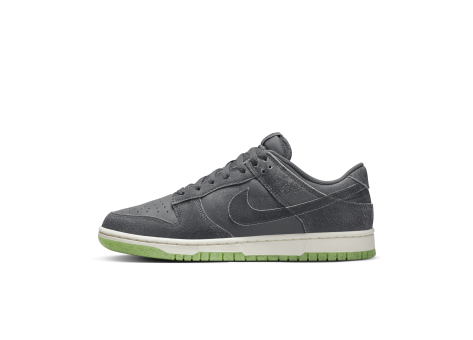 Nike Dunk Low Retro (DQ7681 001) grau