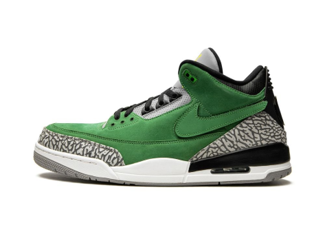 Jordan Air 3 Retro (AJ3867493) bunt