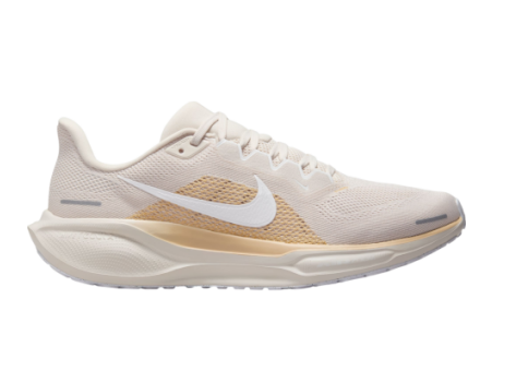 Nike Pegasus 41 (FD2722-106) braun