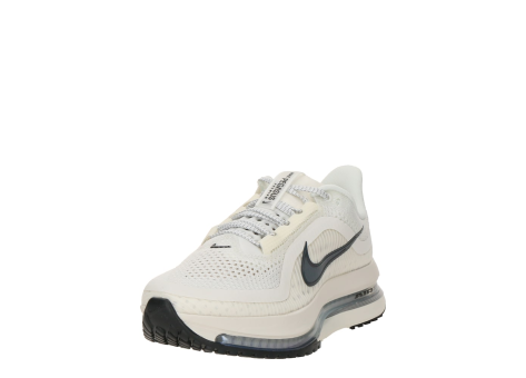 Nike Pegasus Premium (HQ2593-106) beige
