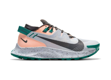 Nike Pegasus Trail 2 (CK4309-004) bunt