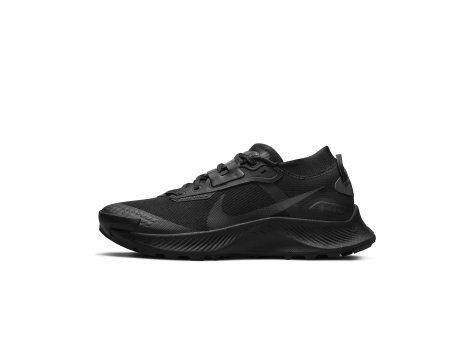 Nike Pegasus Trail 3 GORE TEX (DC8794-001) schwarz