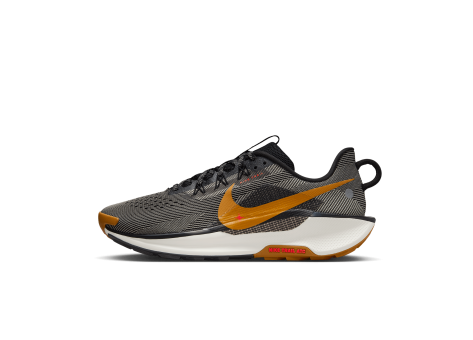Nike Pegasus Trail 5 (DV3864-009) bunt