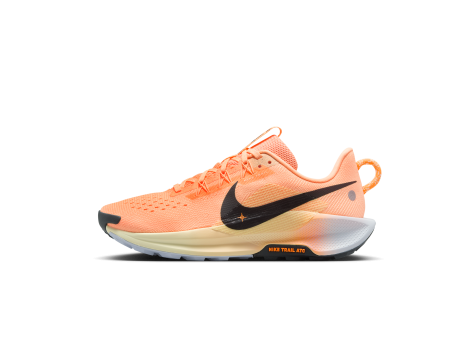 Nike Pegasus Trail 5 (DV3865-800) orange