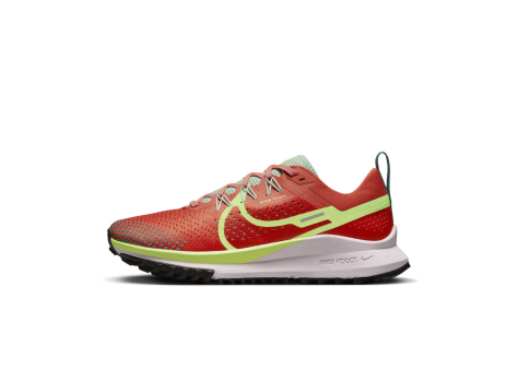 Nike React Pegasus Trail 4 (DJ6159-801) bunt