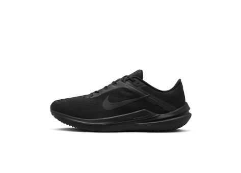 Nike Winflo 10 (DV4022-001) schwarz