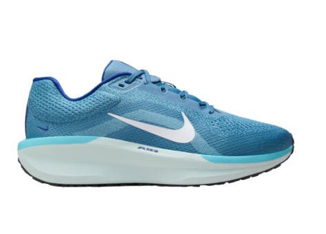 Nike Winflo 11 (FJ9509-401) blau