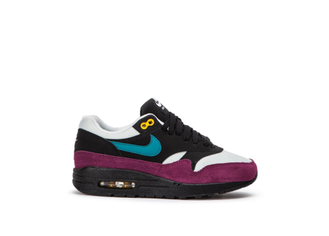 Nike Air WMNS Max 1 (319986-040) bunt