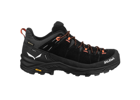 Salewa Alp Trainer 2 GTX (00-0000061401-9172) schwarz