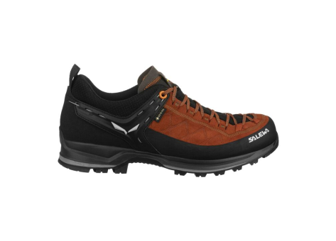 Salewa MTN Trainer GTX 2 (61356-0933) schwarz