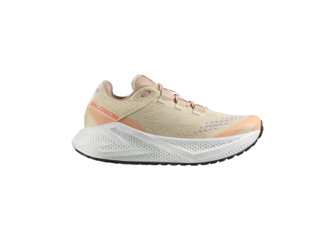 Salomon Aero Glide 3 GRVL W (L47812500) beige