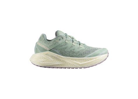 Salomon Aero Glide 3 GRVL W (L47812600) grün