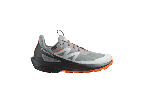 Salomon Elixir Activ Gore TEX (L47456200) grau