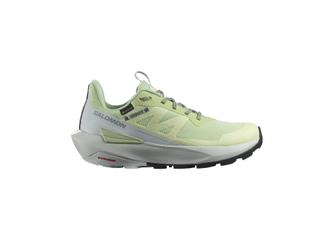 Salomon Elixir Activ Gore TEX GTX (L47456300) grün