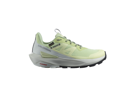 Salomon Elixir Activ GORE TEX GTX (L47456300) grün