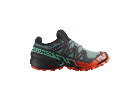 Salomon Speedcross 6 GTX Tex Gore (L47701300) schwarz