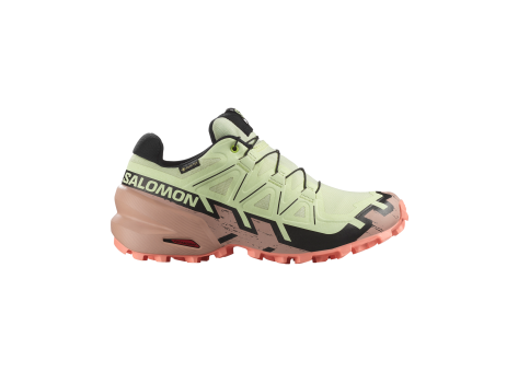Salomon Speedcross 6 GTX Tex Gore (L47765500) bunt