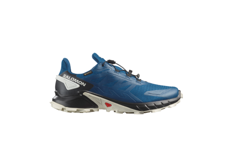 Salomon Supercross 4 GTX (L47976000) blau
