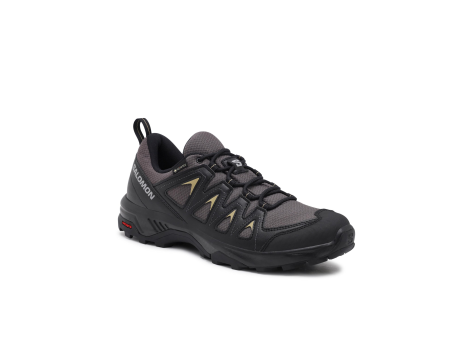 Salomon X Braze GORE TEX (471805) bunt