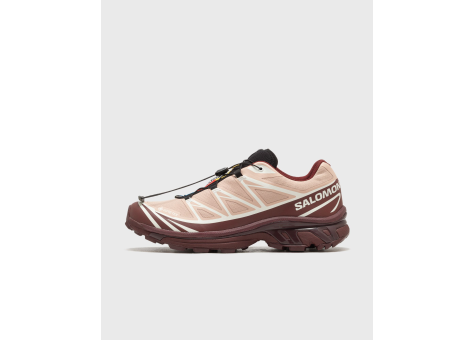 Salomon XT 6 GTX (L47863700) bunt
