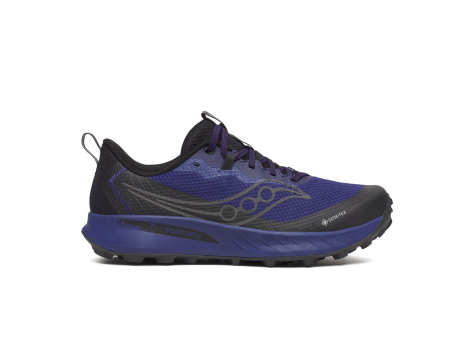 Saucony Peregrine 15 GTX (S20992-262) bunt