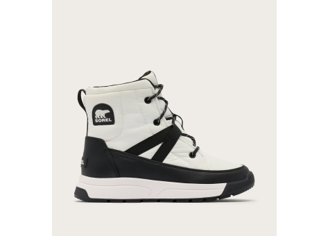 Sorel Whitney III (2138491125) bunt