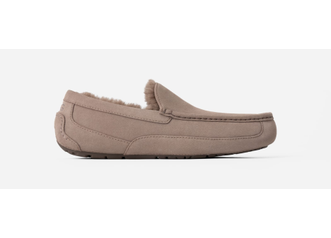 UGG Ascot (1101110-CRBO) braun