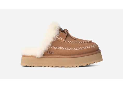 UGG Disquette Alpine (1158260-CHE) braun