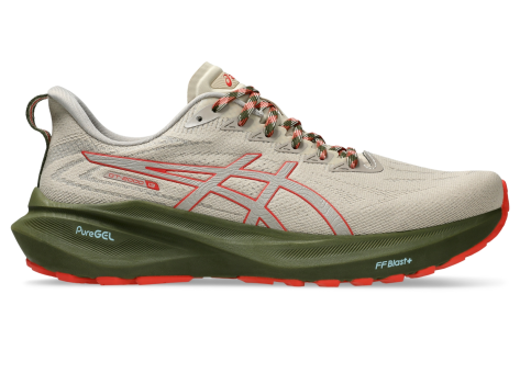 Asics GT 2000 13 TR (1011B954-300) braun