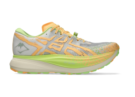 Asics Metafuji Trail (1013A141.100) bunt