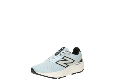 New Balance 520 (W520CF9) bunt