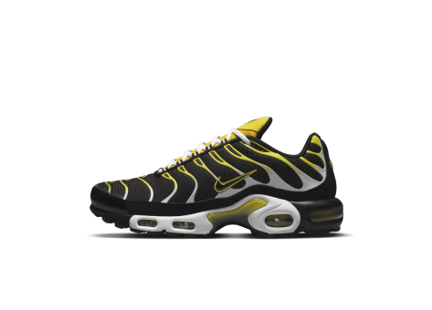 Nike Air Max Plus Tour (DQ3983-001) bunt