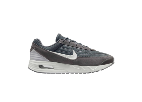Nike Air Max Verse (FV1302-005) grau