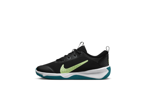 Nike Omni Multi Court (DM9027-003) schwarz