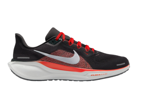 Nike Pegasus 41 (FD2722-008) grau