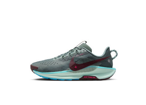 Nike Pegasus Trail 5 (DV3864-302) grau