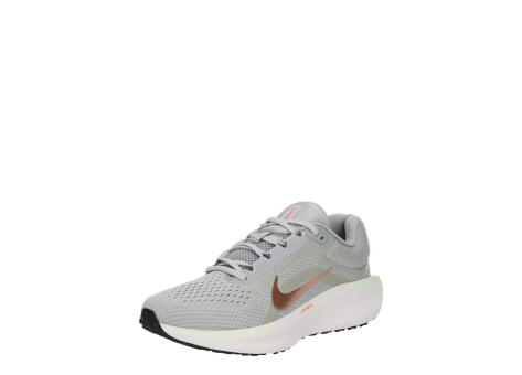 Nike Winflo 11 (FJ9510-004) grau